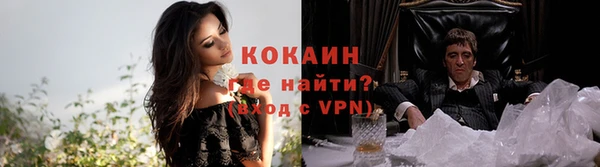 ПСИЛОЦИБИНОВЫЕ ГРИБЫ Белокуриха