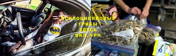 ПСИЛОЦИБИНОВЫЕ ГРИБЫ Белокуриха