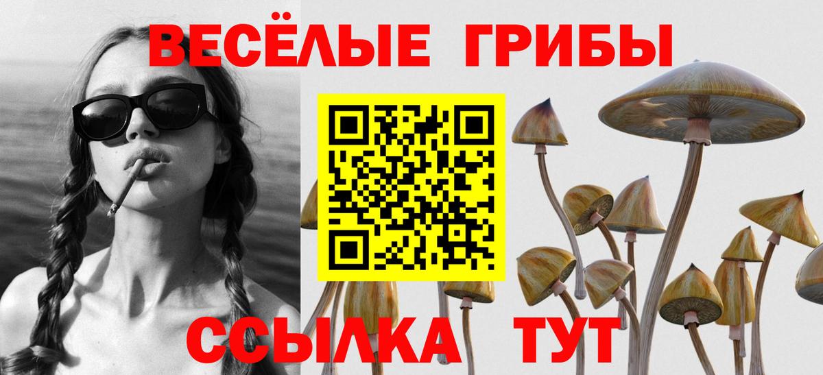 Псилоцибиновые грибы мицелий Черняховск