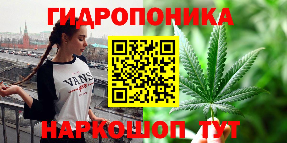 Бошки Шишки конопля Черняховск